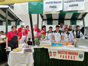 349955386 608369044601330 6873429254733445363 n 